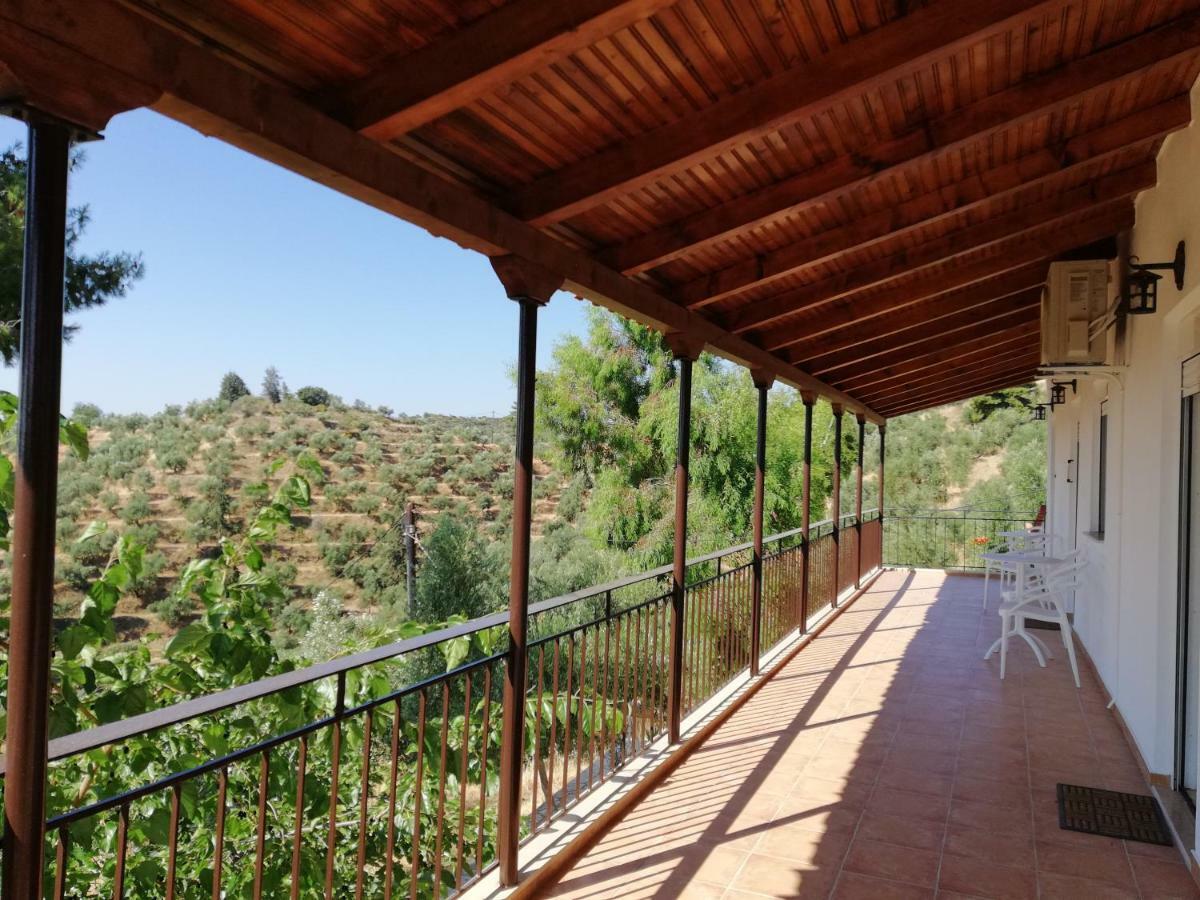 Olea Escape In An Olive Estate Villa *