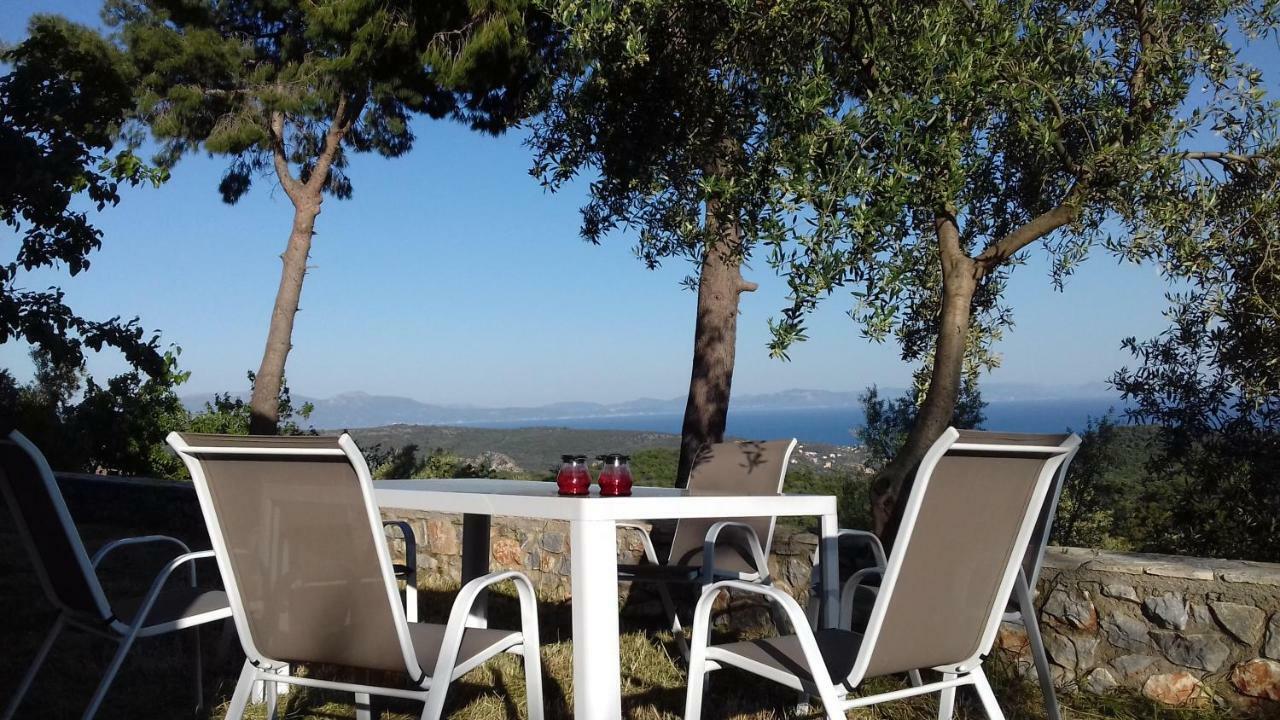 Olea Escape In An Olive Estate Villa *