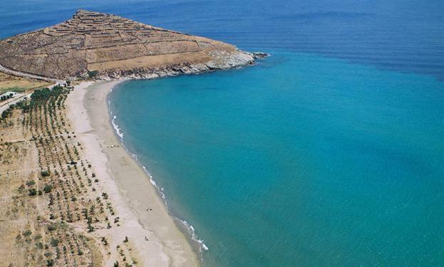 Nesaea * Agios Sostis (Tinos)