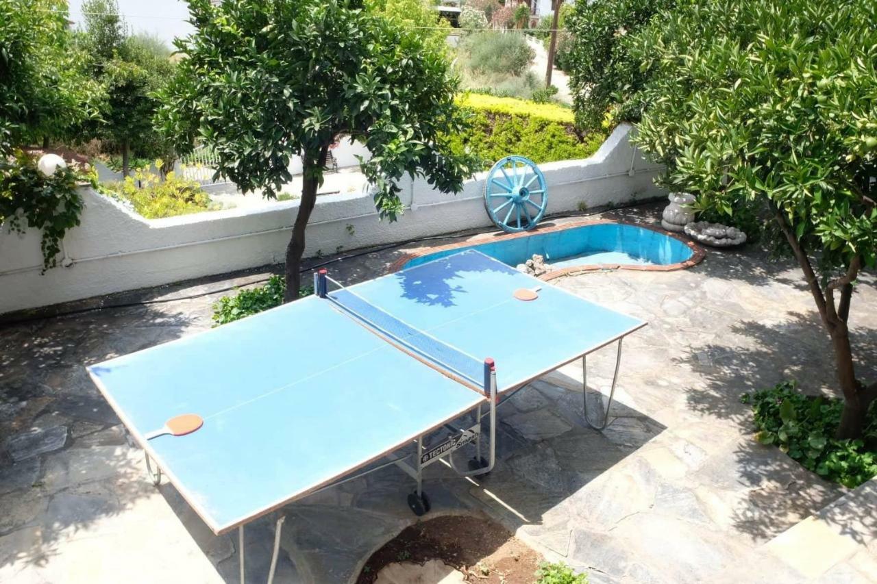 Sofia Holiday home *