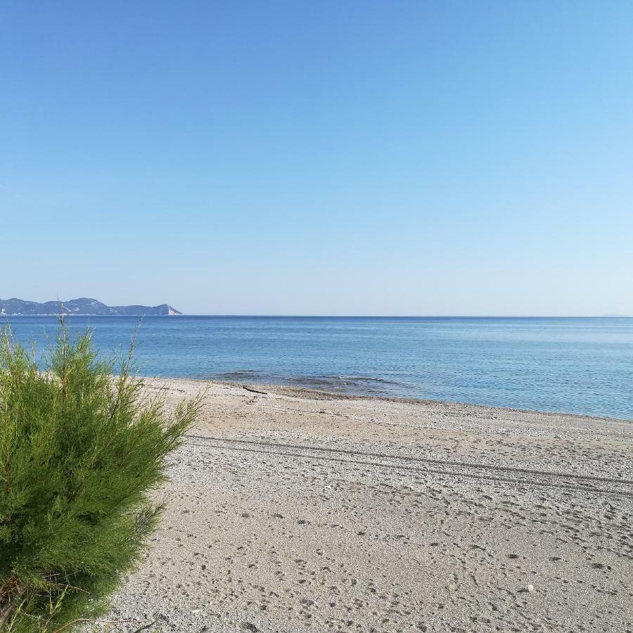 Apartment Vagelis *