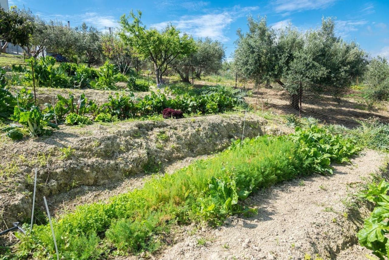 Muses Panoramic View, Minutes From Knossos Minoan Palace Apartment Vasiliai
