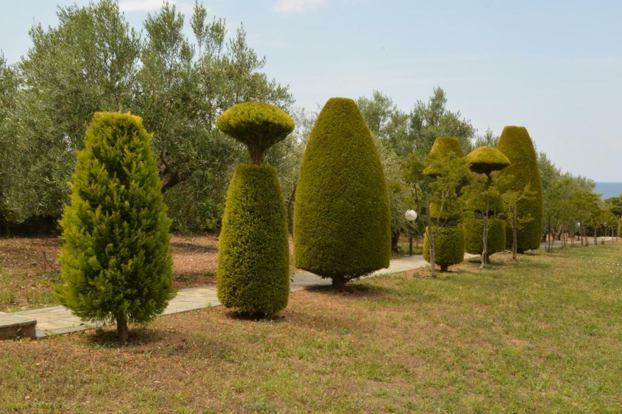 Ground Holiday home