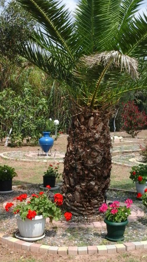Myconian Summer House