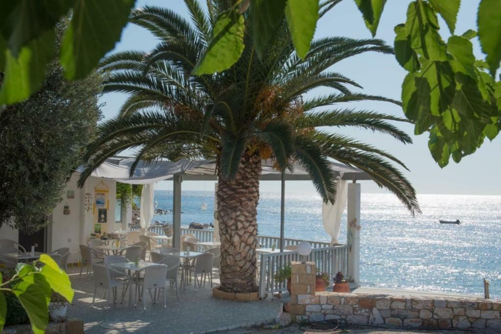 Apartment τo κamari *