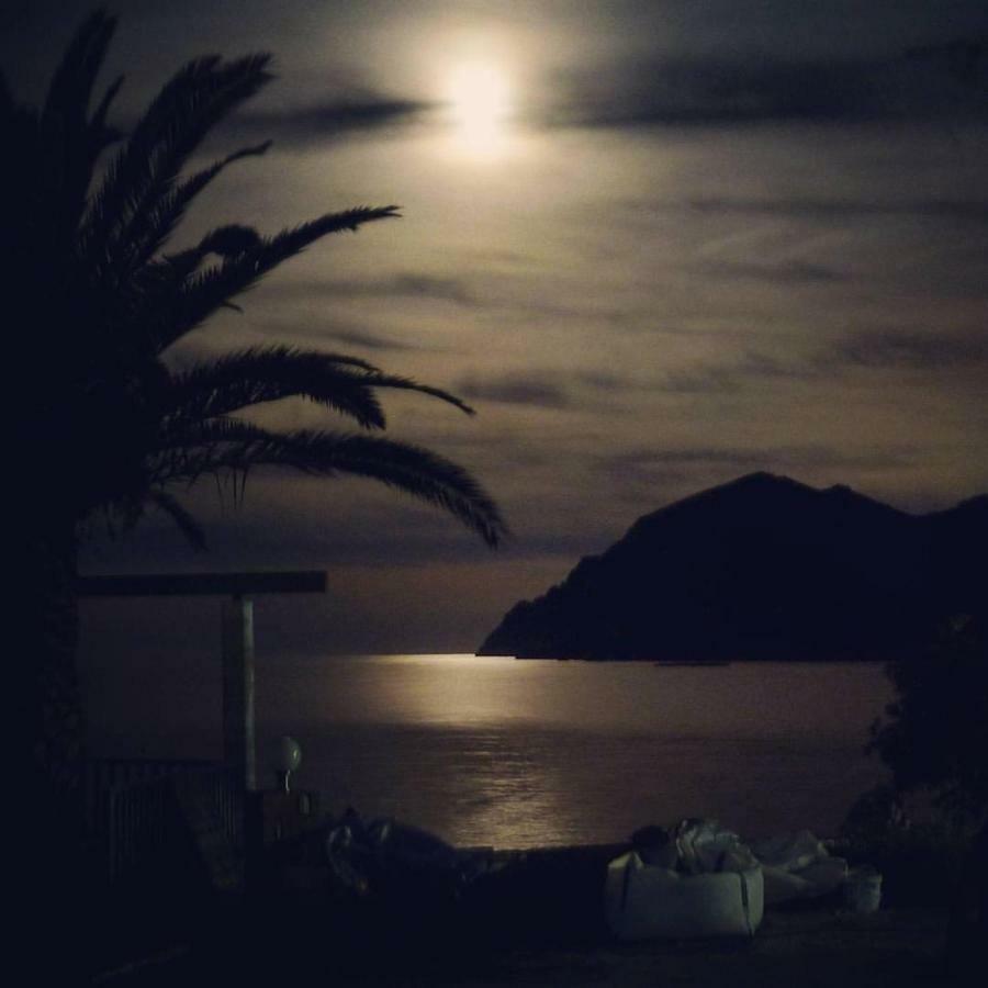τo κamari *