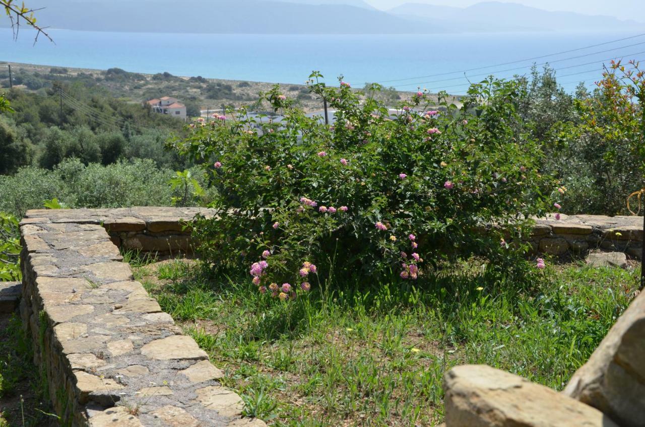 Helona * Kamaria (Messinia)