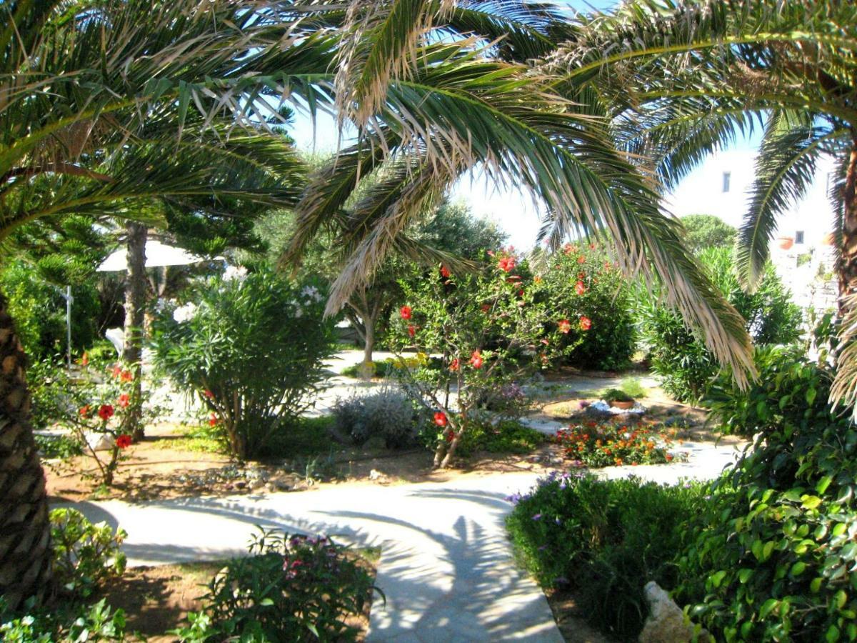 Viglakia * Naousa (Paros)