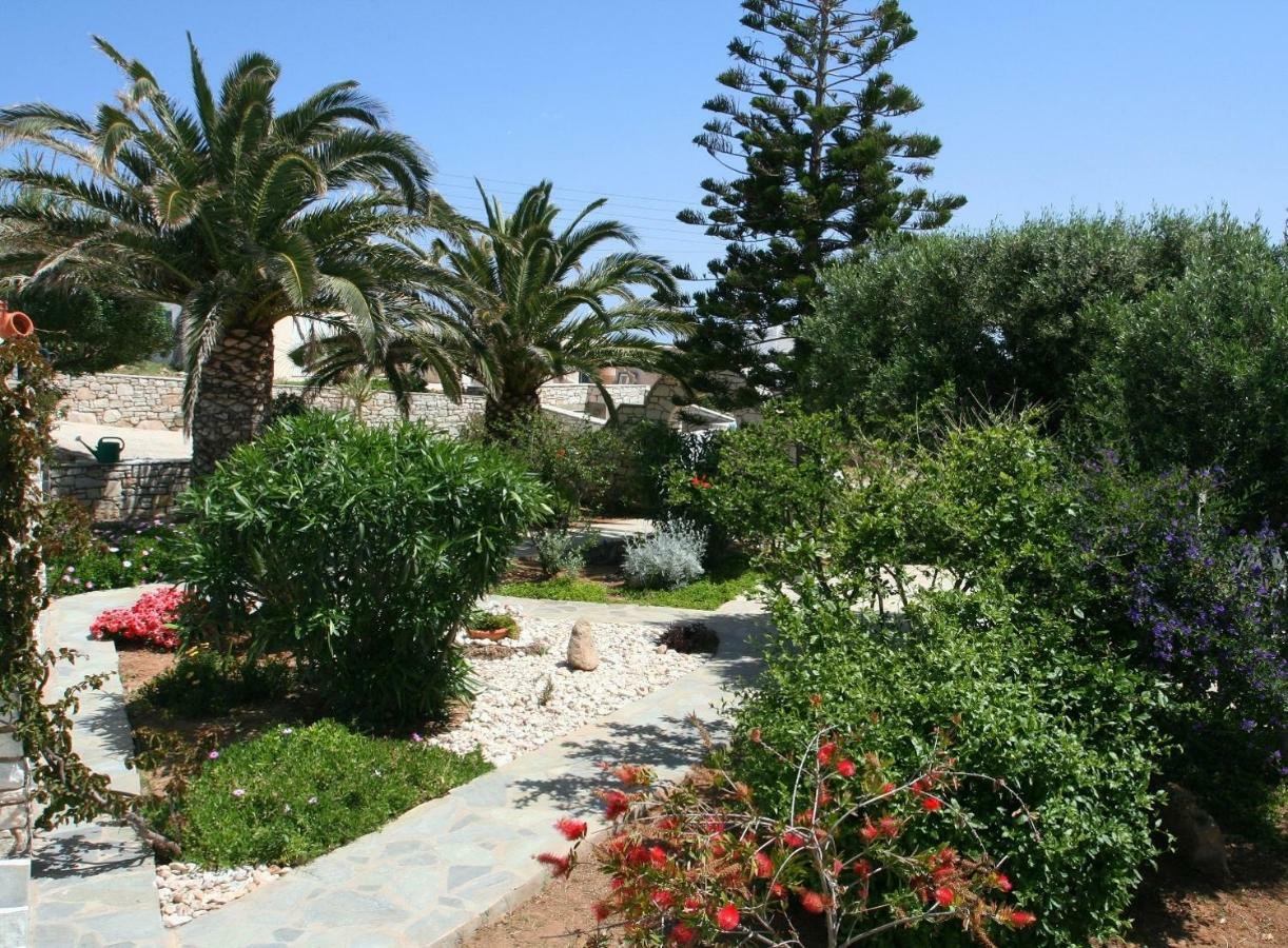 Apartment Viglakia