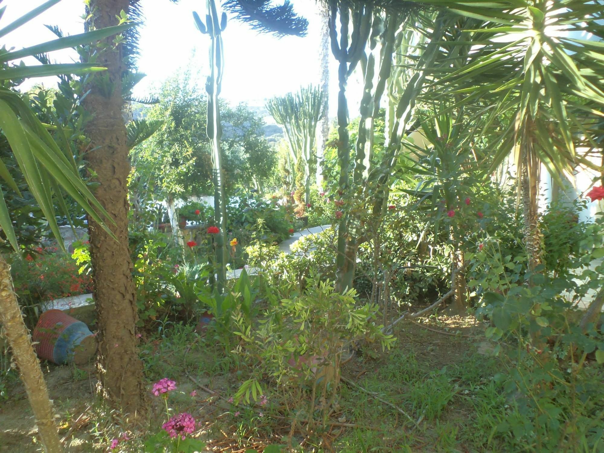 Apartment Afentoulis 2 *