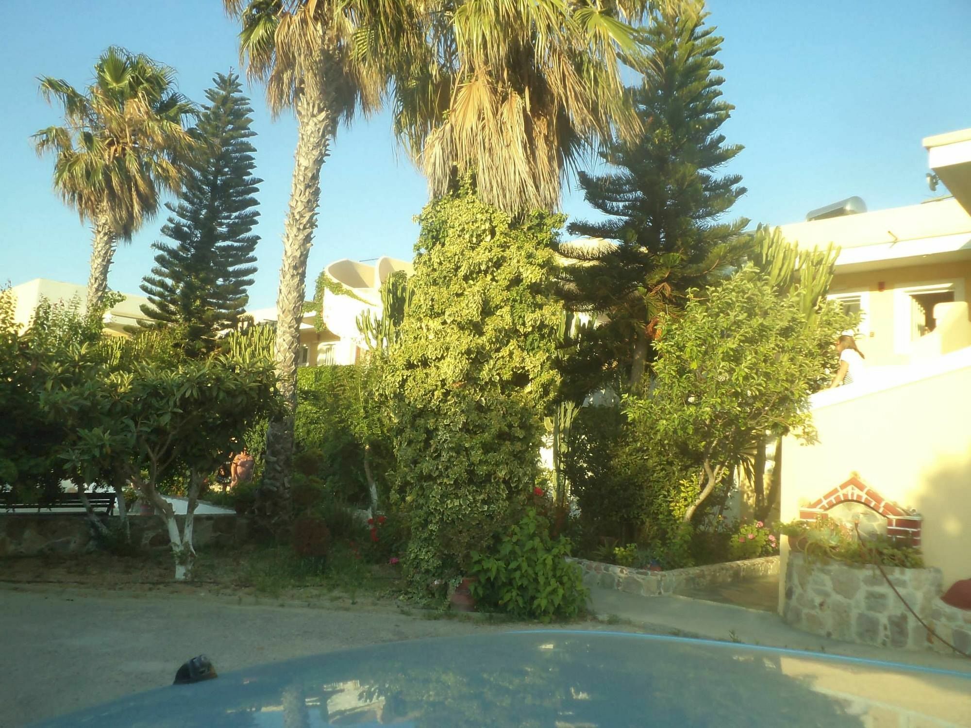 Afentoulis 2 *