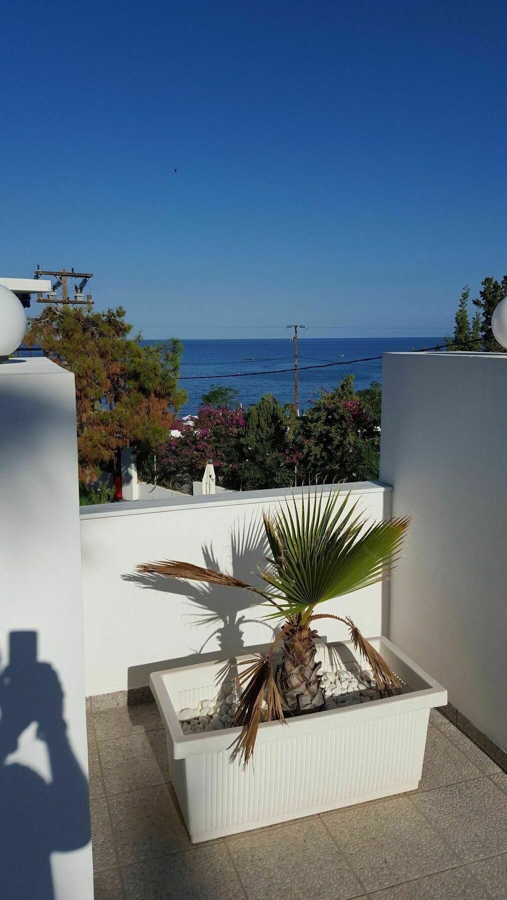 Mediterraneo Stegna