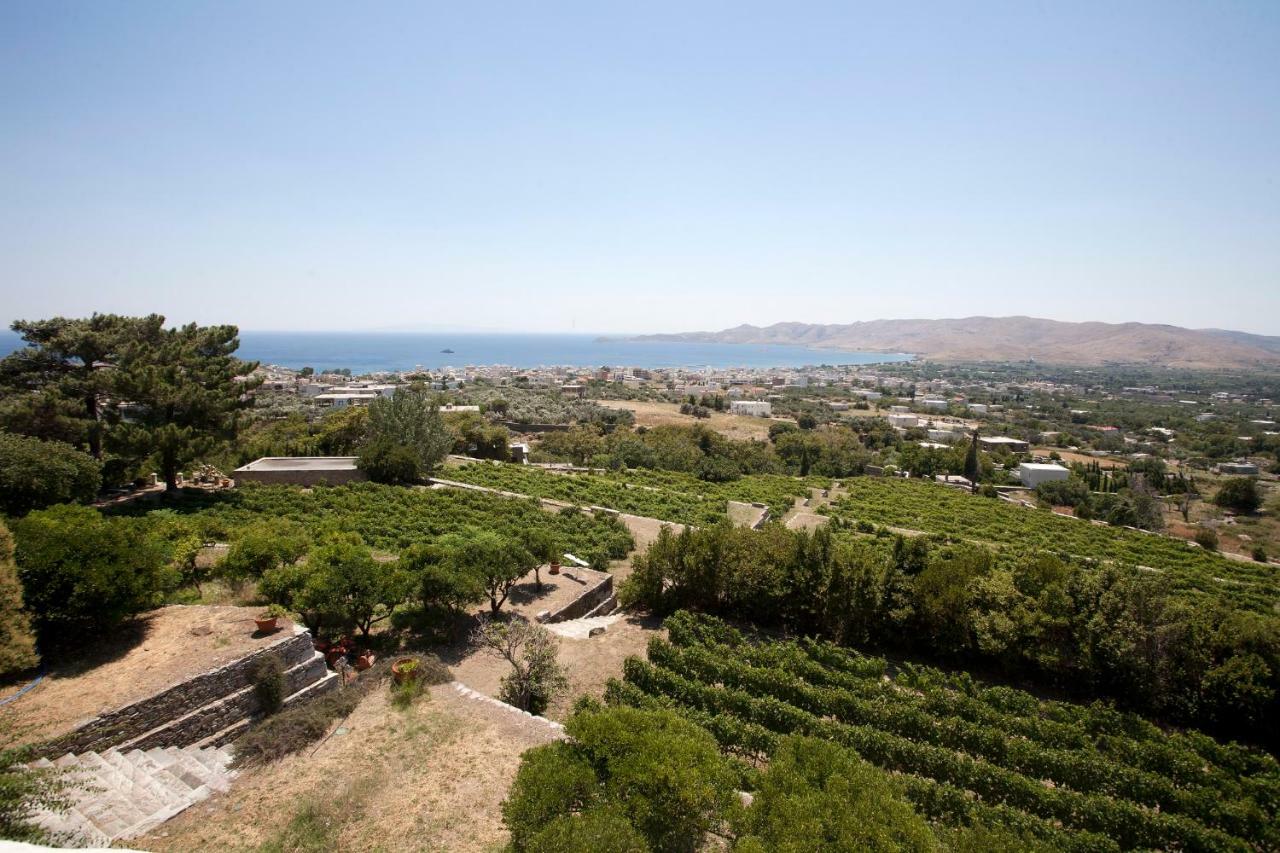 Montofoli Wine Estate *