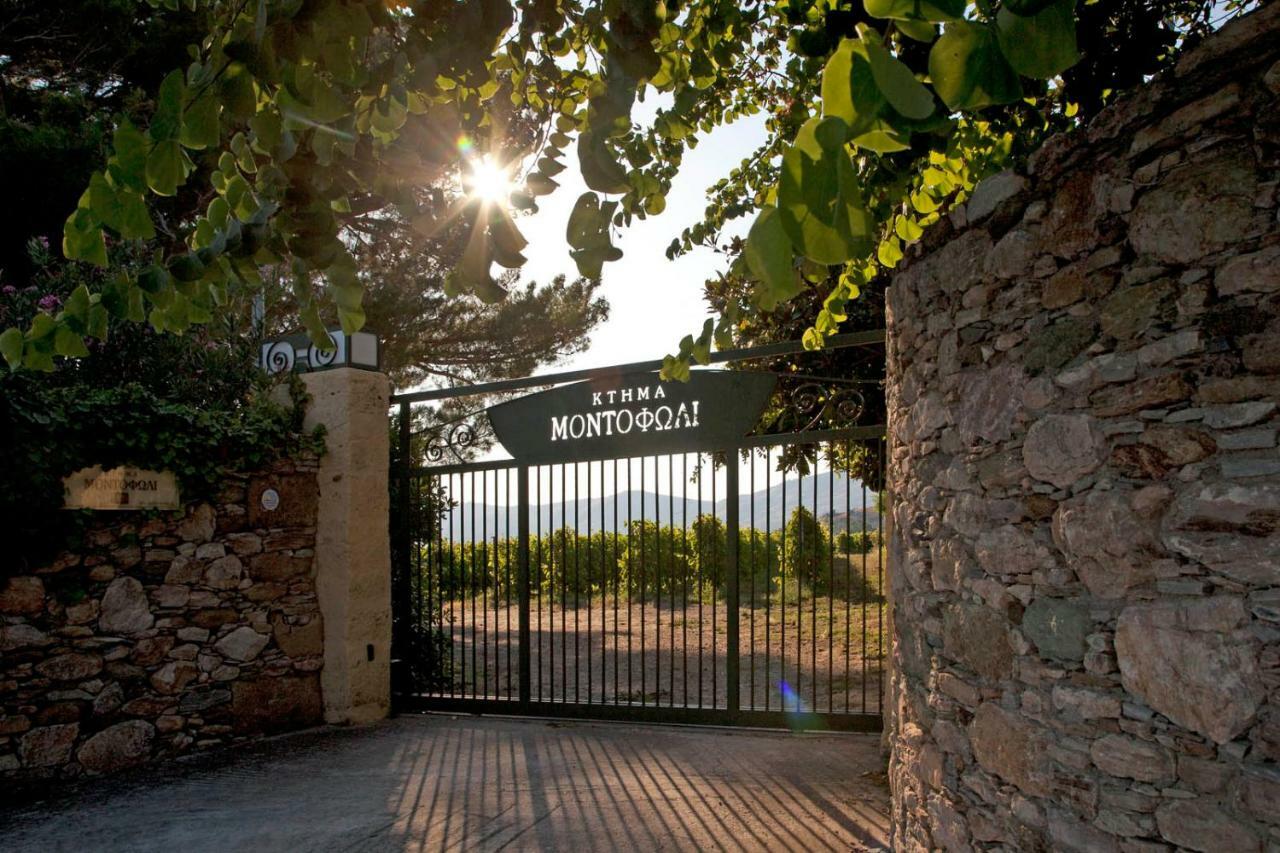 Montofoli Wine Estate Villa Karystos (Evia)