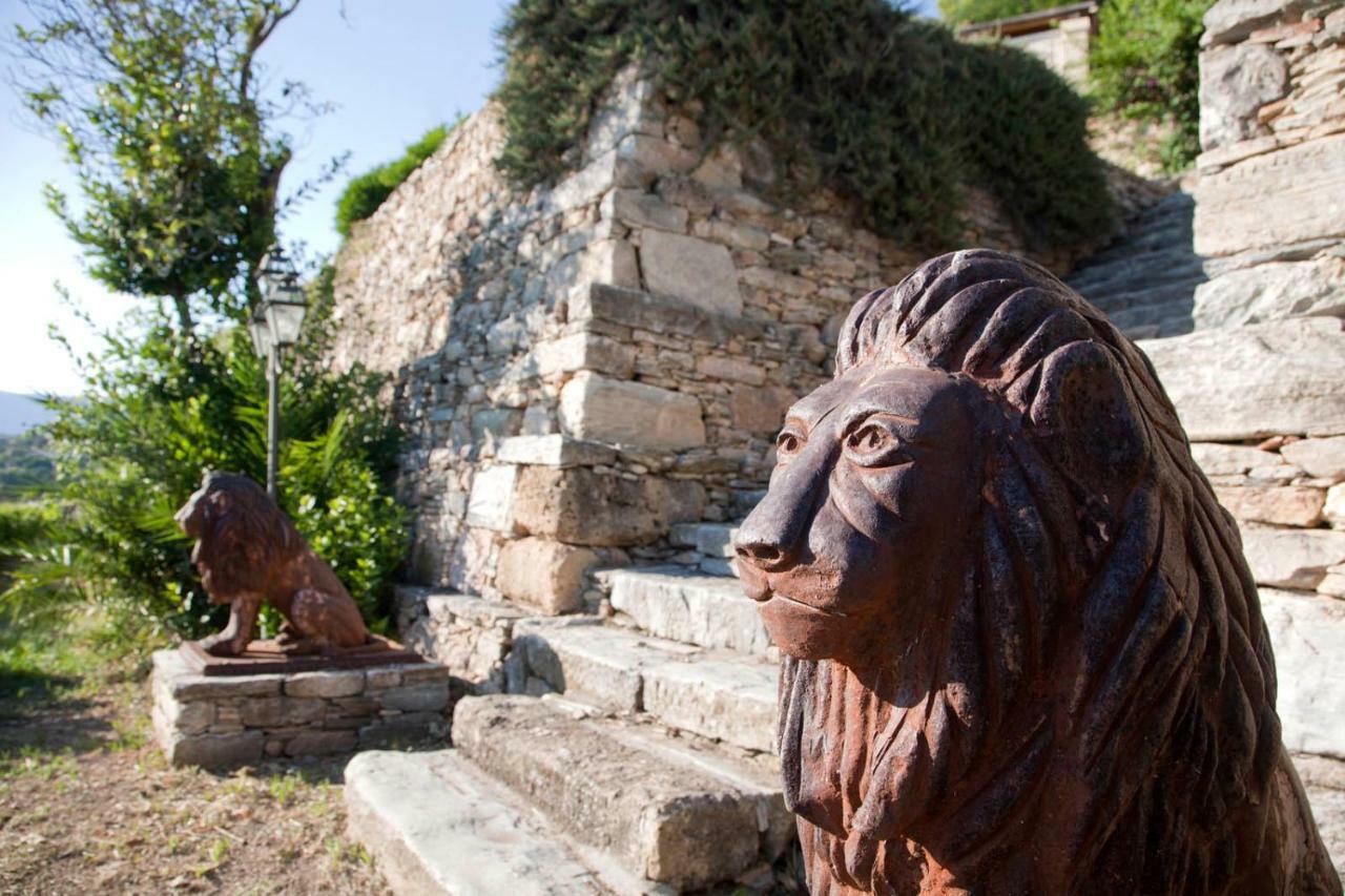 Montofoli Wine Estate Karystos (Evia)