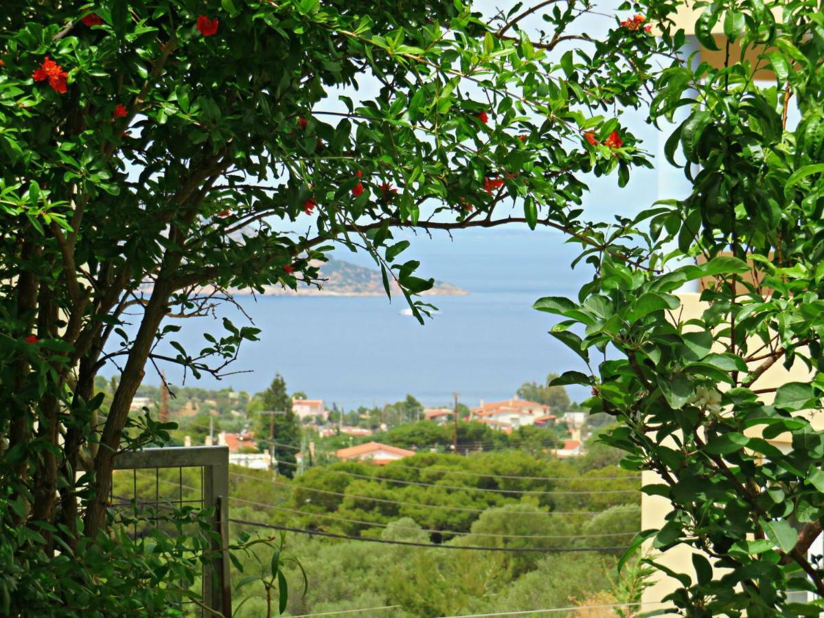 Holiday home Thimari Sports & With Private Pool And Jacuzzi Sounion