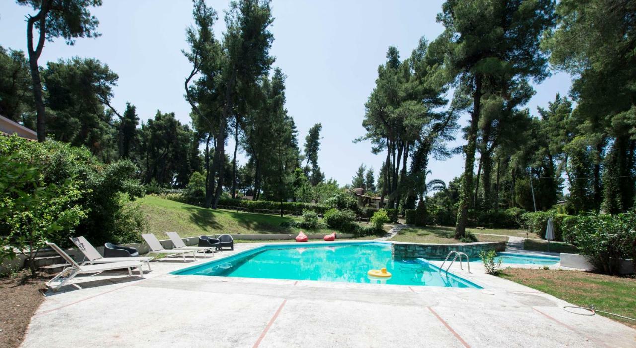 Villa Irini In Sani