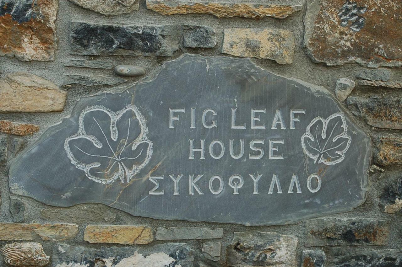 Fig Leaf House Holiday home