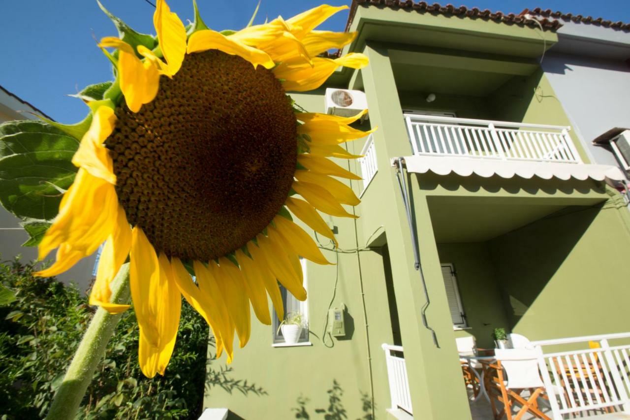Marietta's Townhouse Argostoli (Kefalonia)