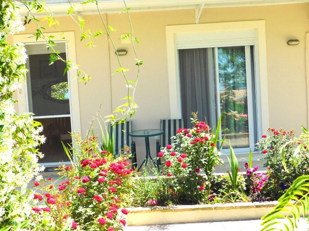 Holiday home Olga's Hill *