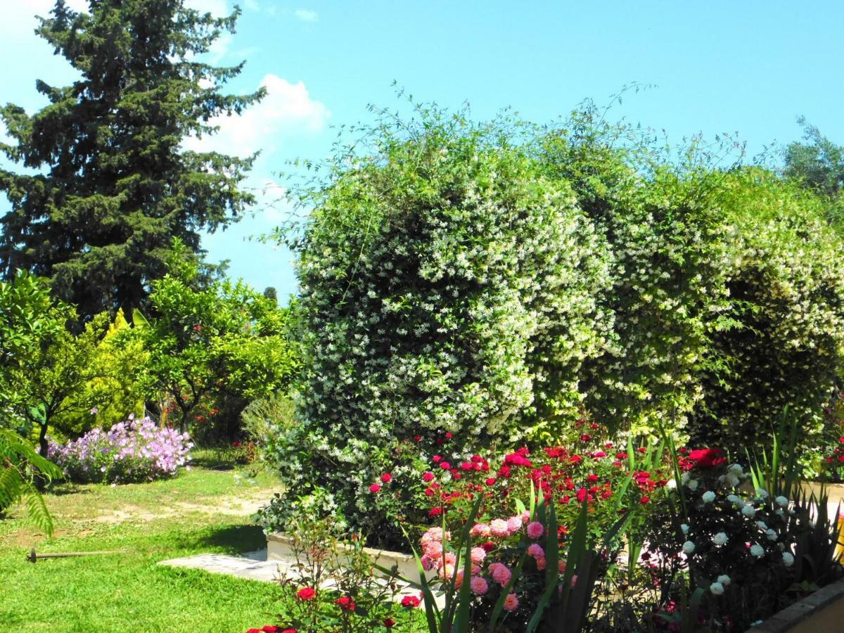 Olga's Hill Holiday home *
