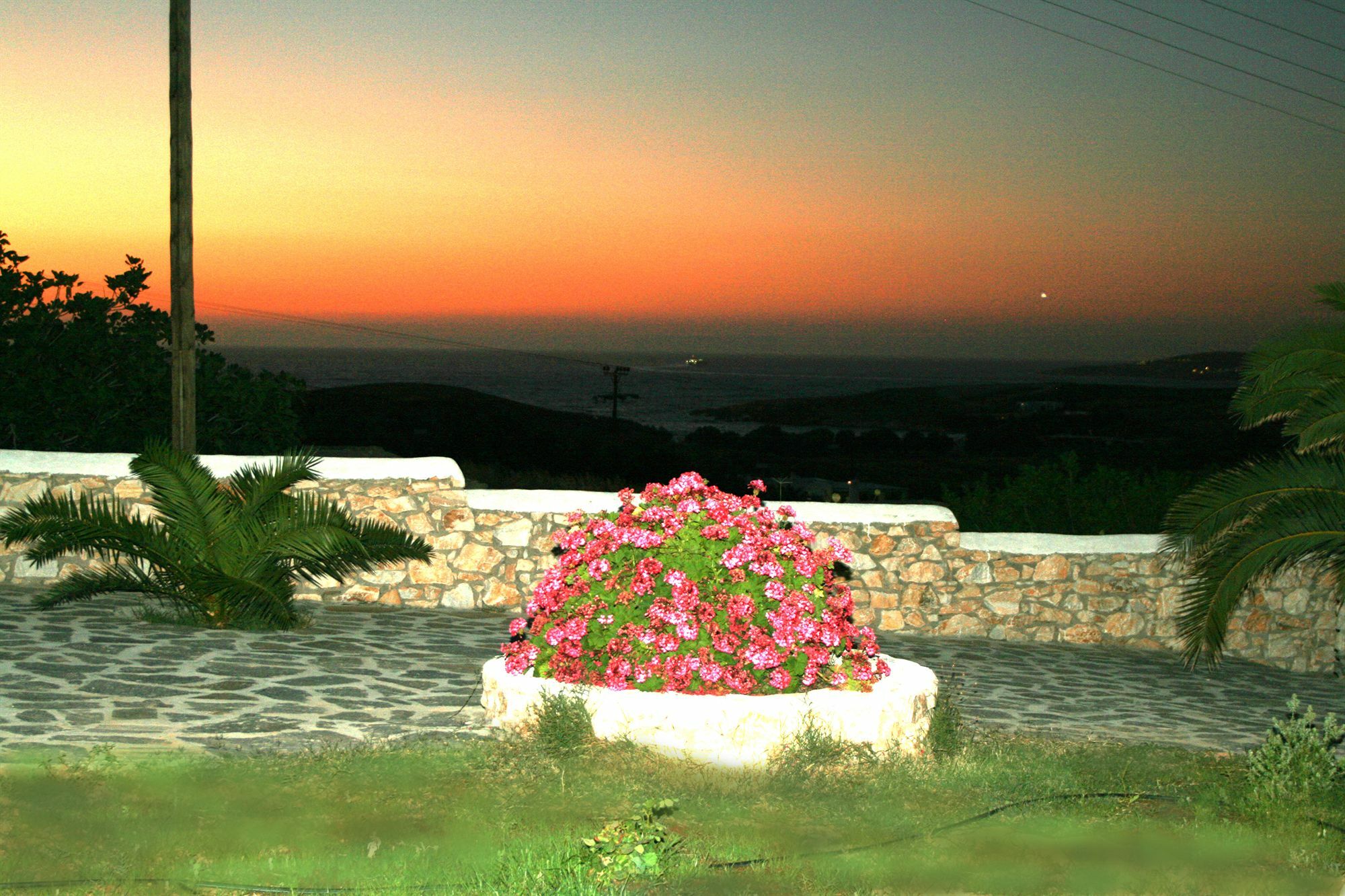 Mirsini *