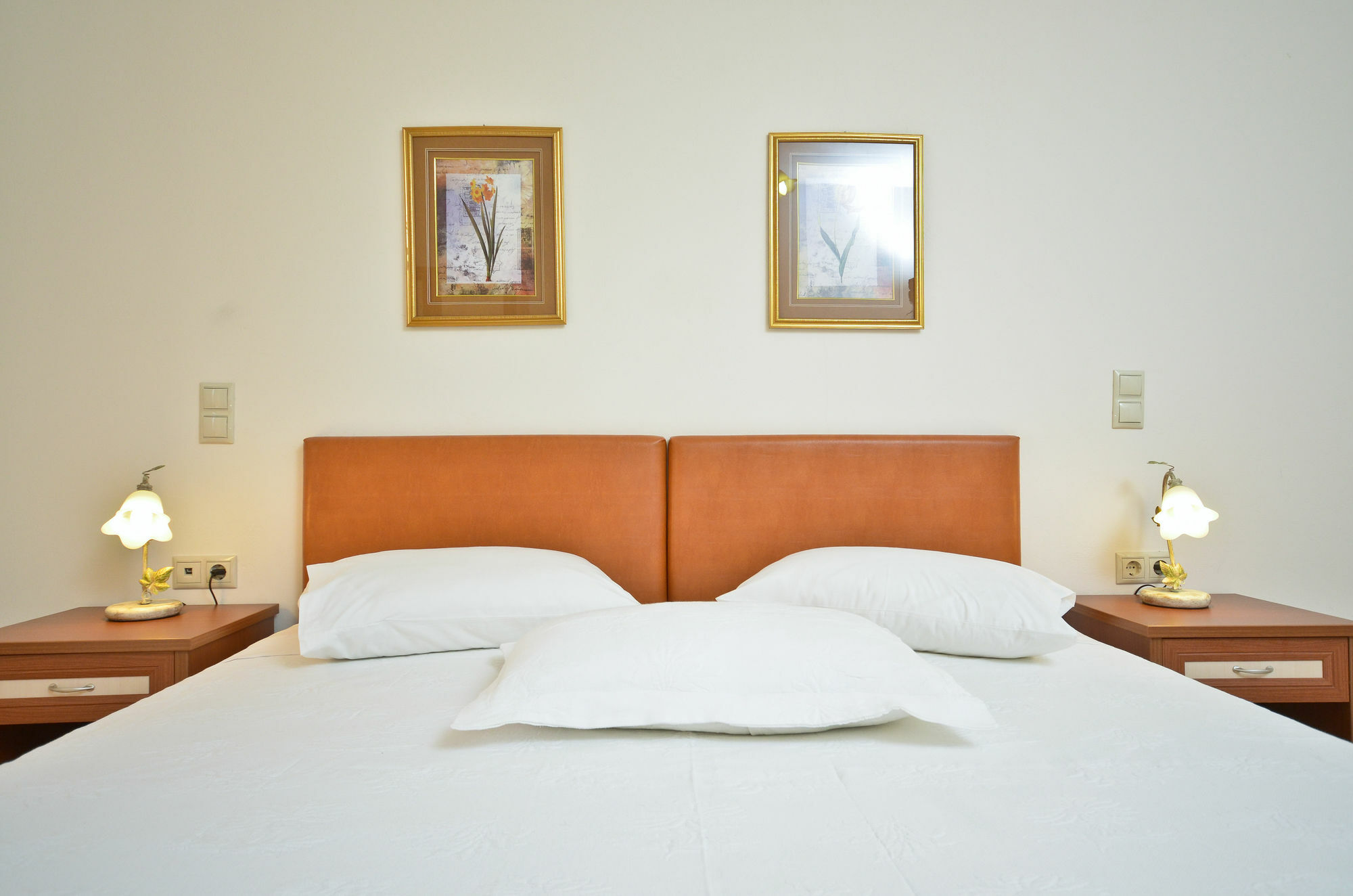 Aparthotel Anthi Agia Anna (Naxos)