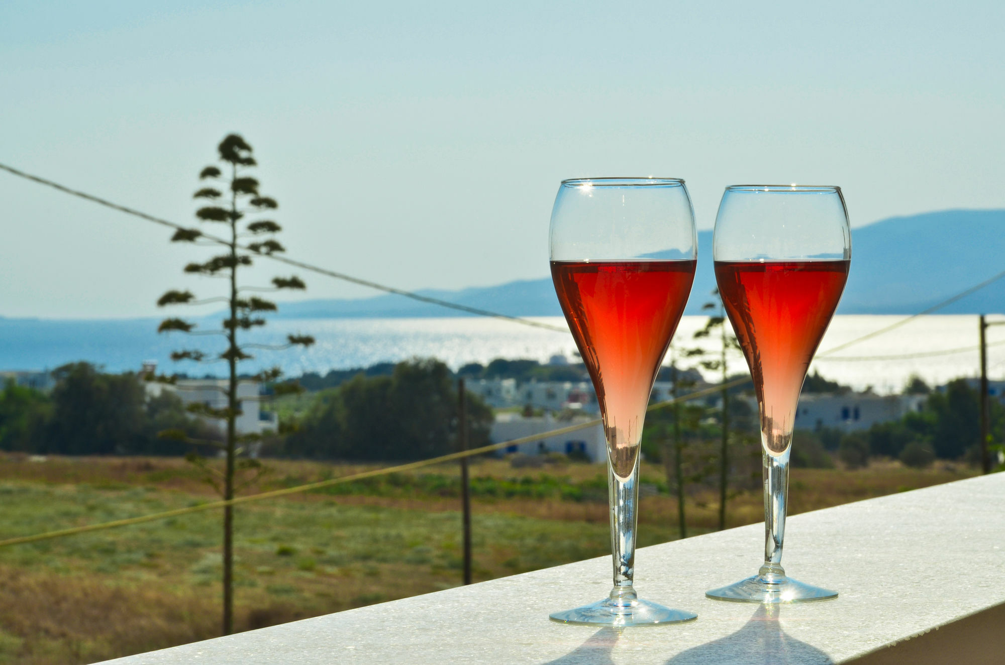 Anthi Aparthotel Agia Anna (Naxos)