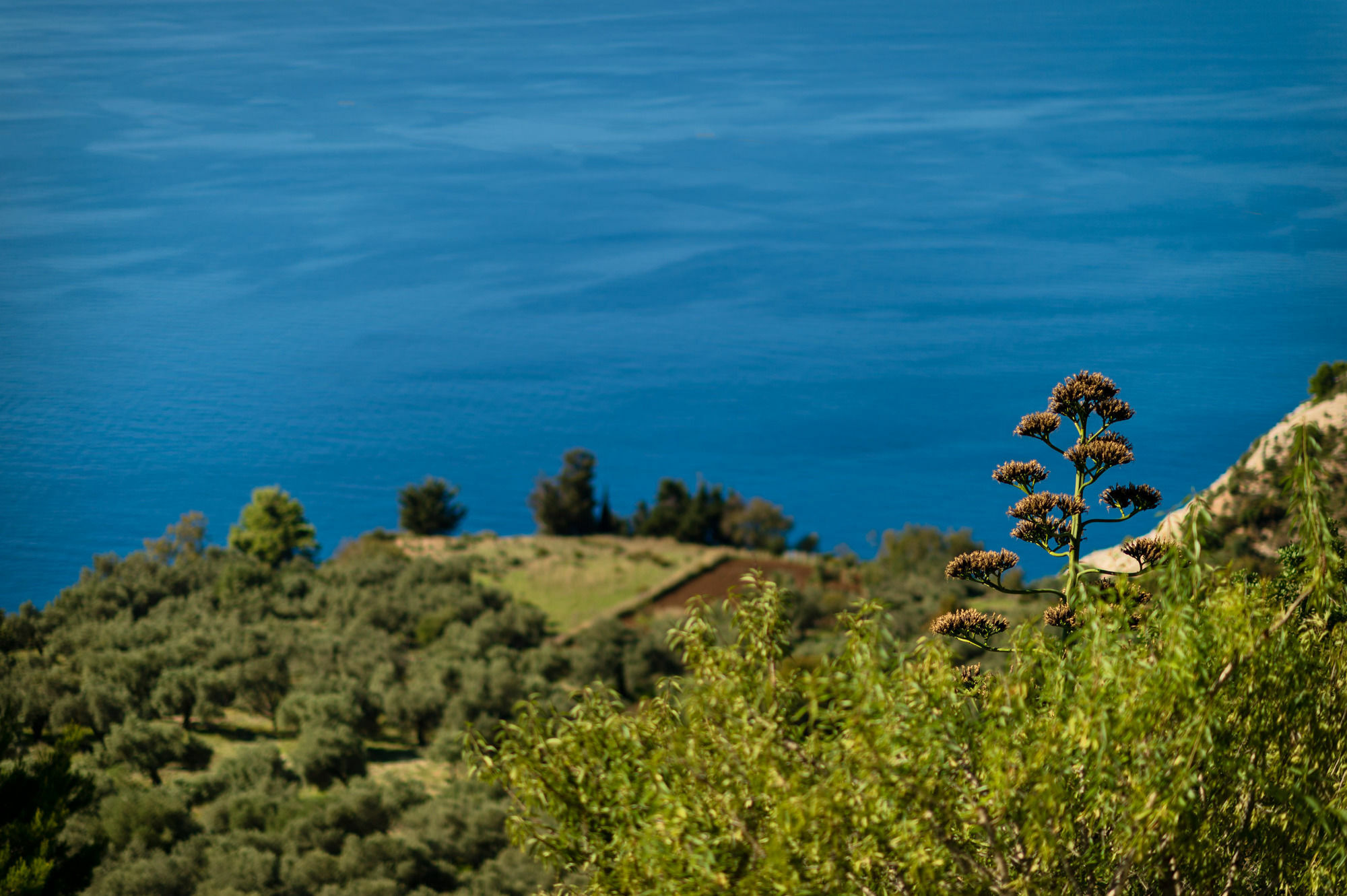 Yades Villas Athanion