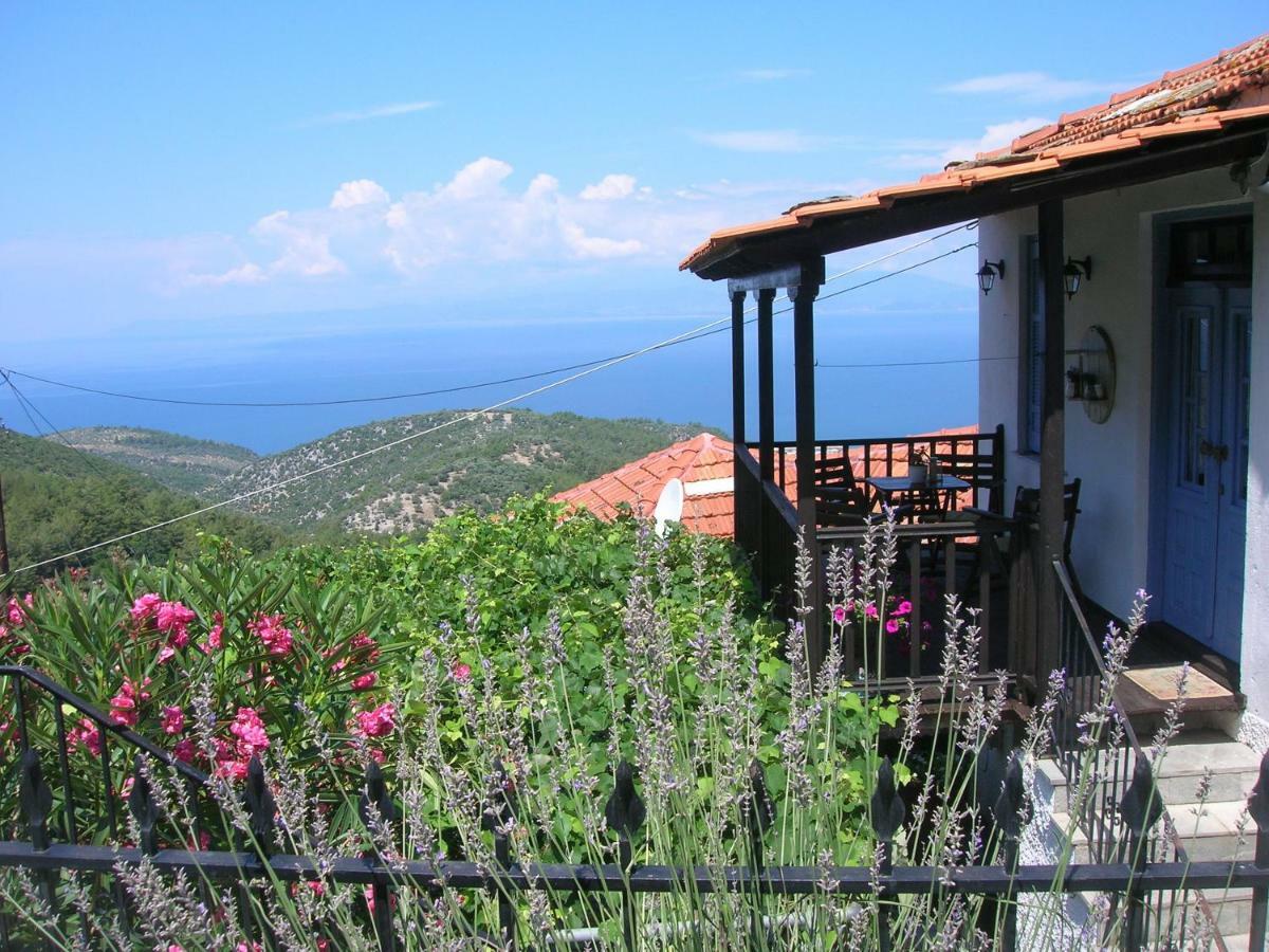 Athina's House *