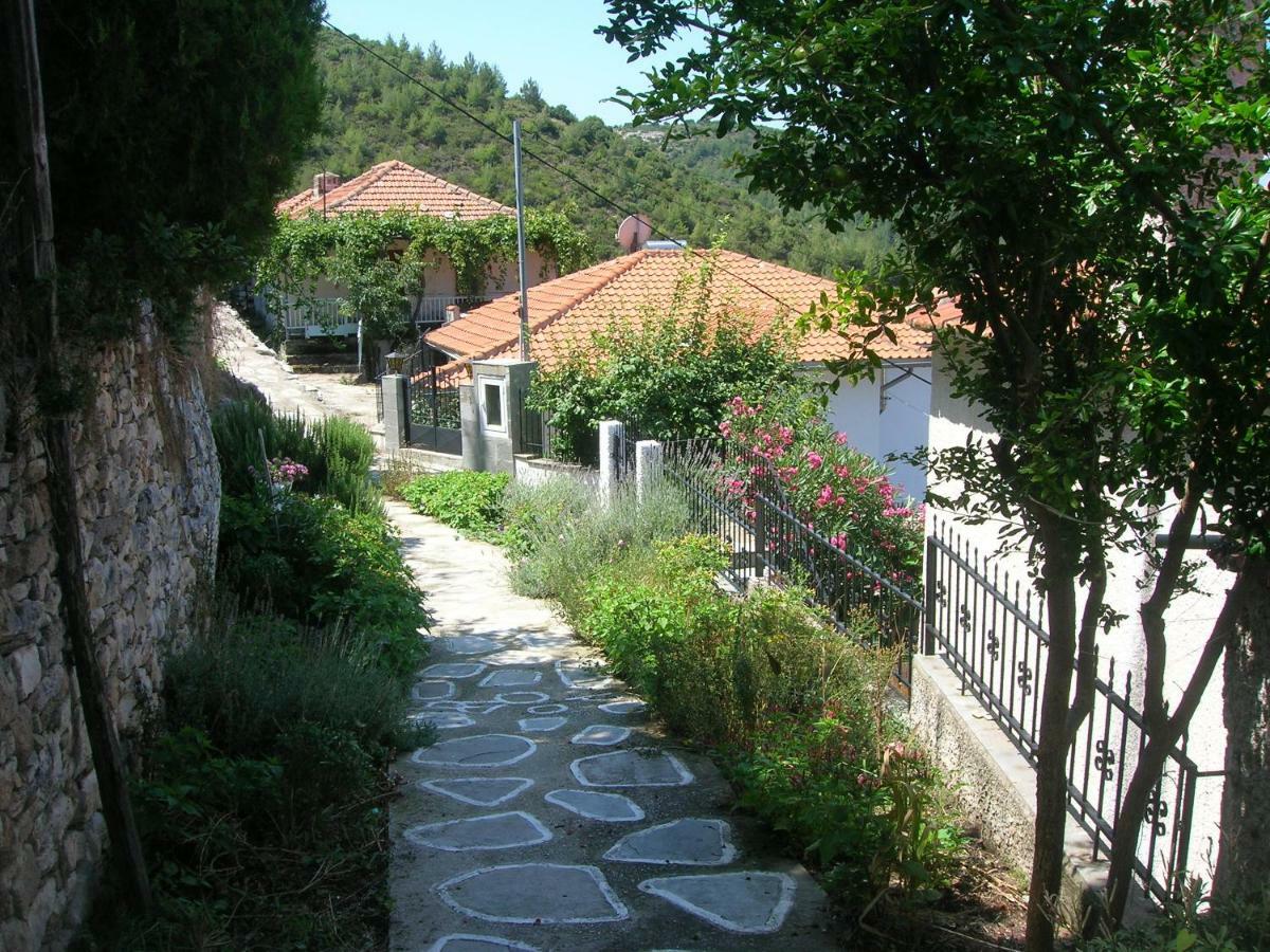 Athina's House *