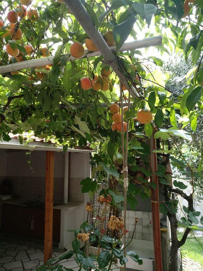 Our Parent's House. Family House For Rent Holiday home Skala Kallirakhis