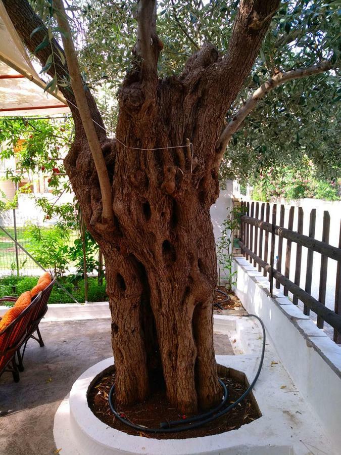 Our Parent's House. Family House For Rent Holiday home Skala Kallirakhis