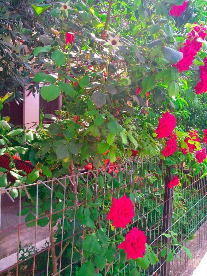 Our Parent's House. Family House For Rent * Skala Kallirakhis