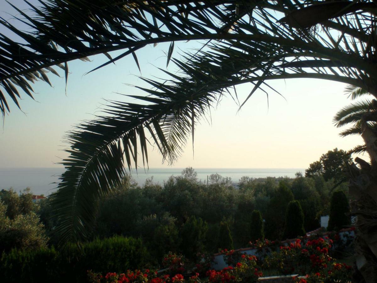 Summerhouse Anastasia Holiday home *