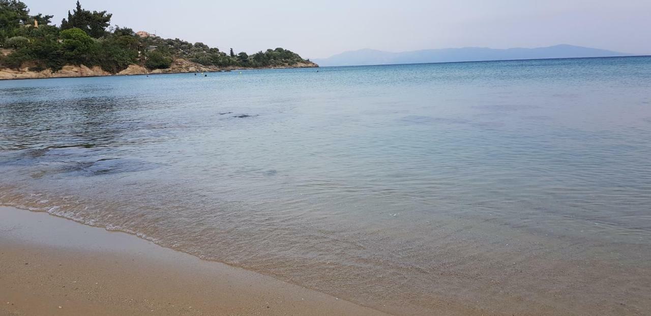 Apartment Sea Breeze Palaiontsiflikion