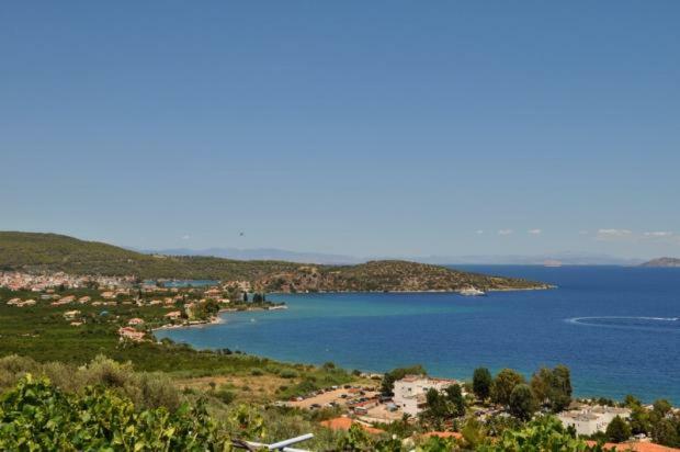 Krassi * Epidaurus