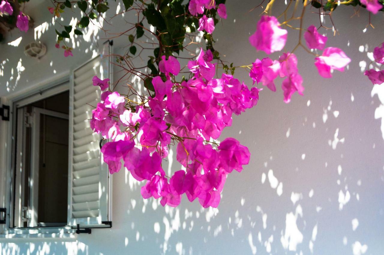 Holiday home Felicia's Sun-side House Kastraki (Naxos)