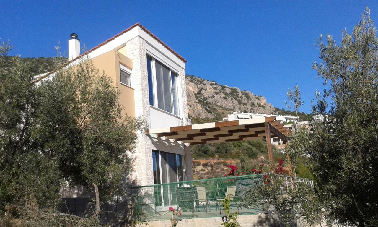 Stone House In Olive Grove