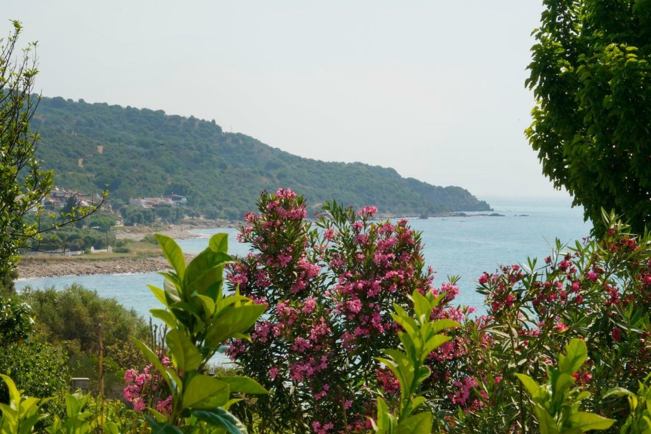 Secret Paradise