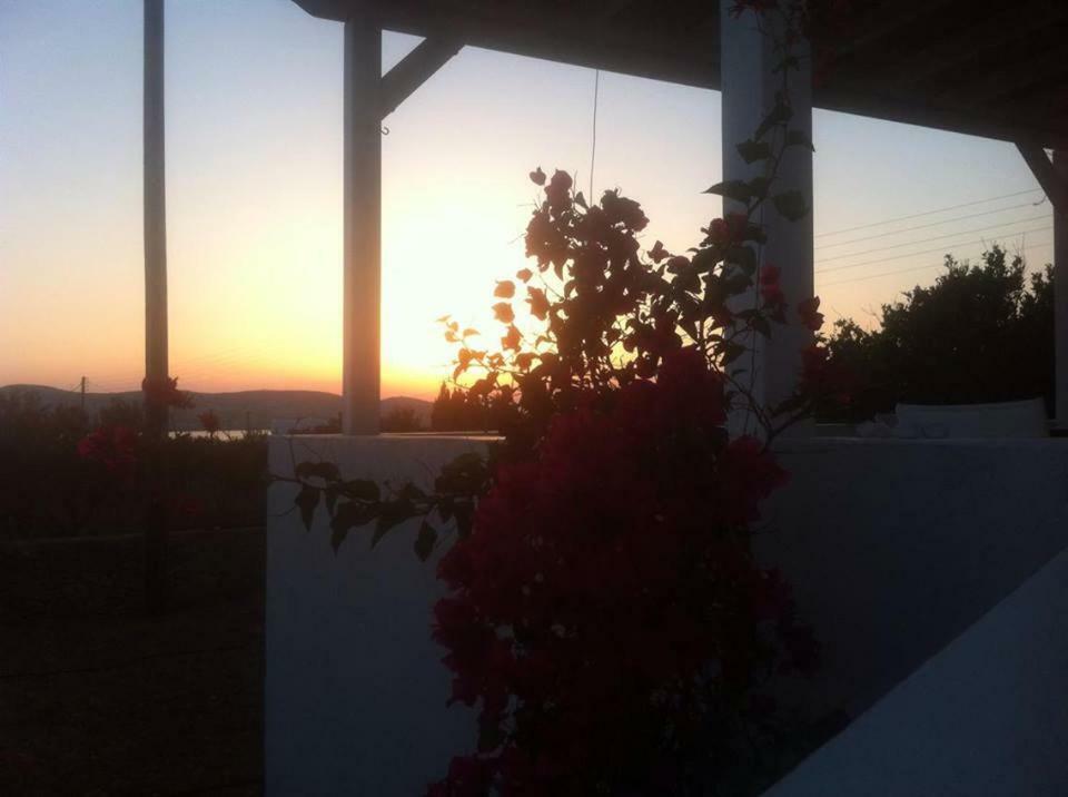 Kampos Paros * Pounda