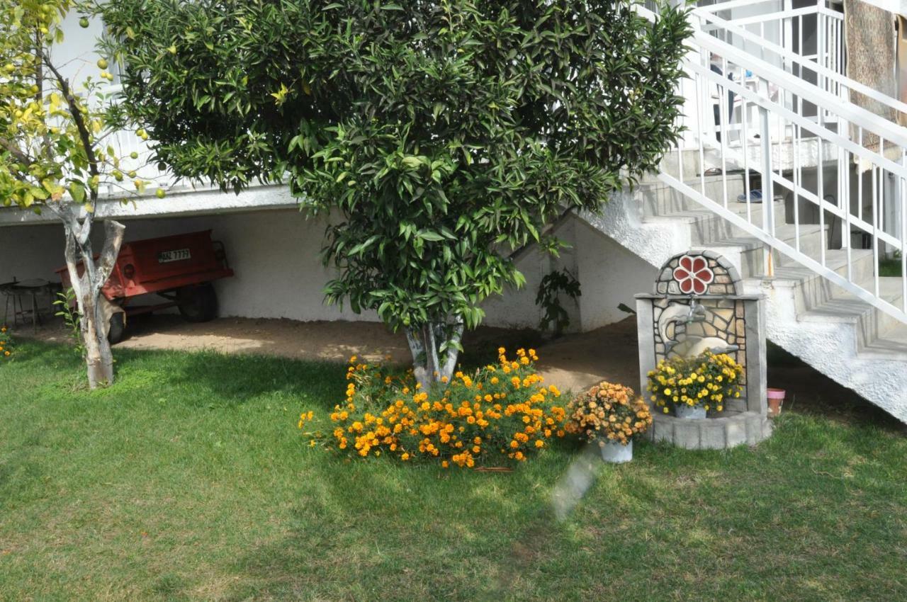 Apartment Despina *