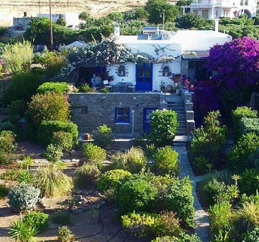 Sophia Paros - Beachfront At Lolantonis Villa Drios