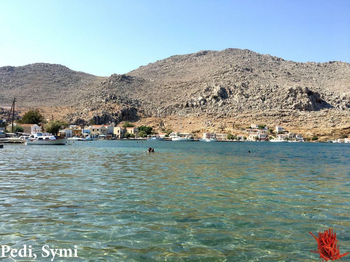 Korali * Symi