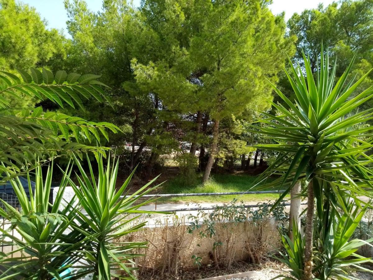 House By The Sea Artemida (Attica)