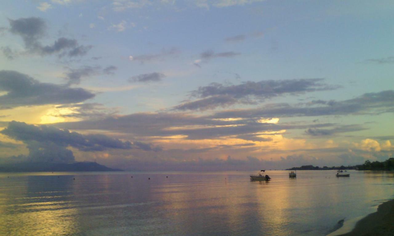Oliveland *