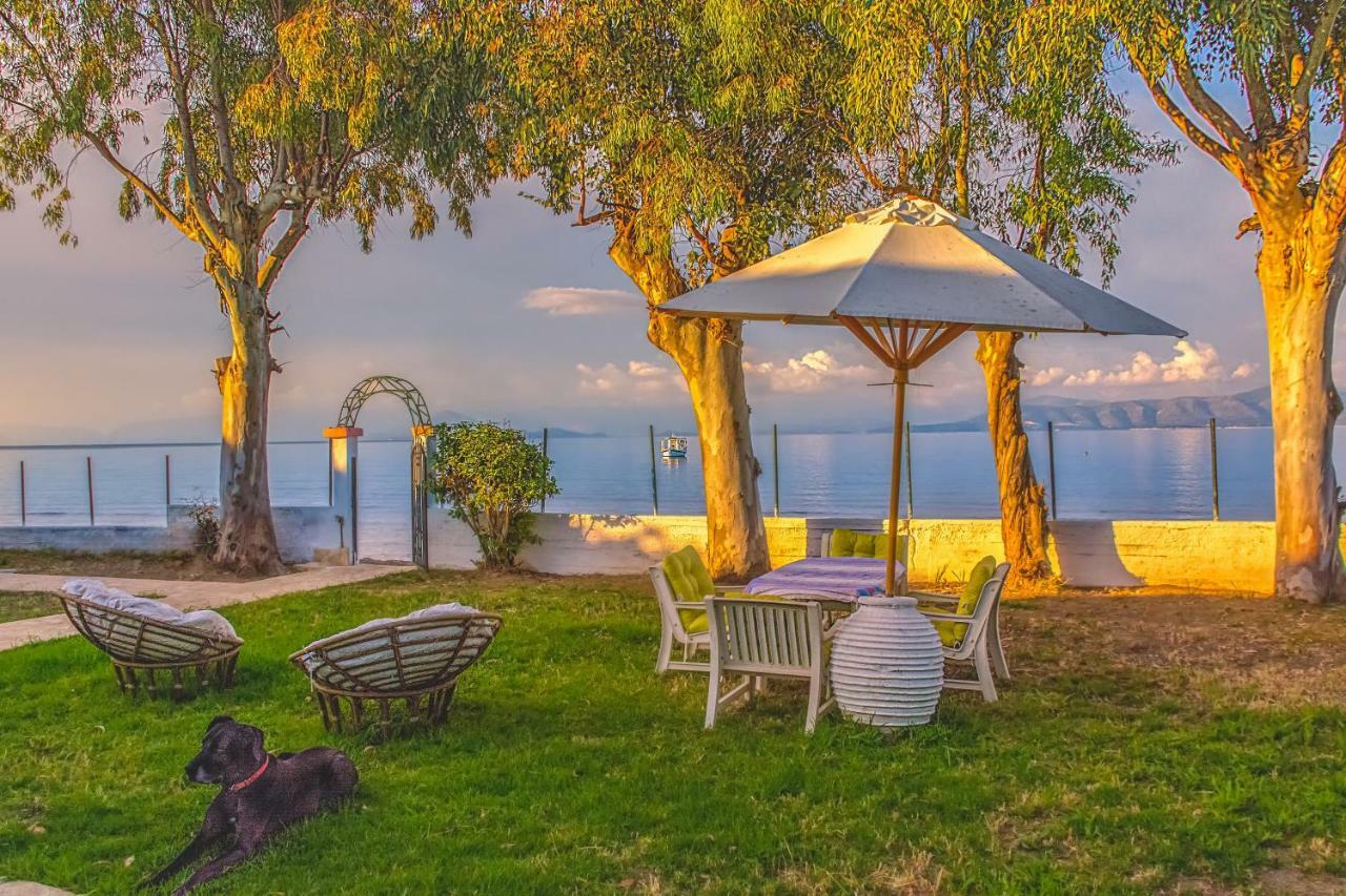 Lemami Seafront Holiday home *