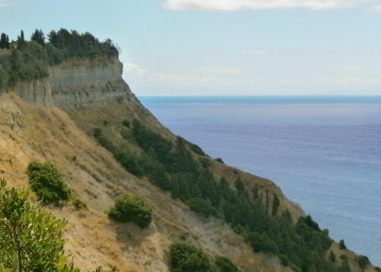 Oliveland