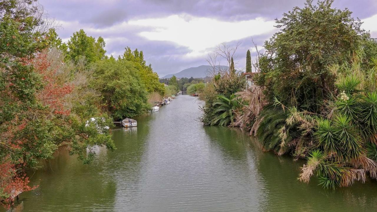 Oliveland Kavos