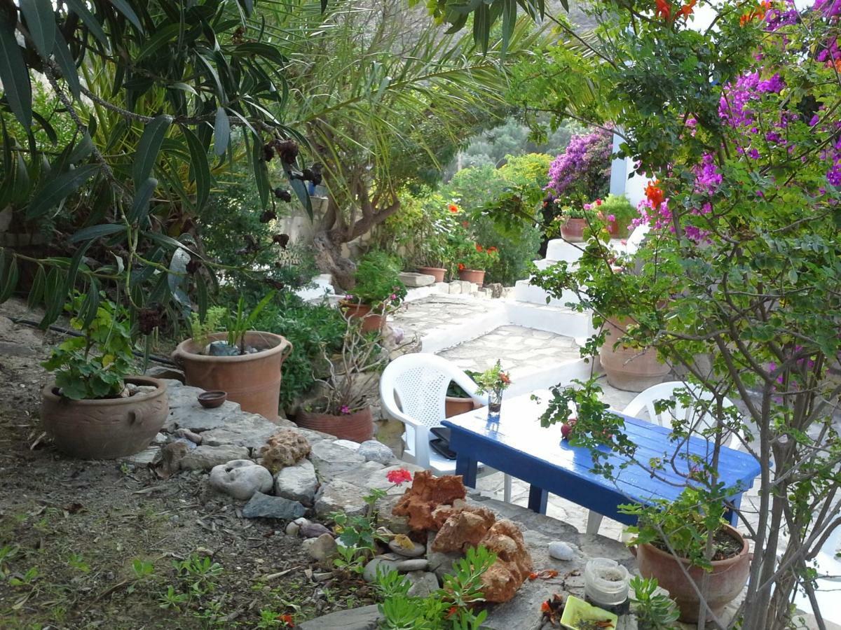 Aloni Apartment
